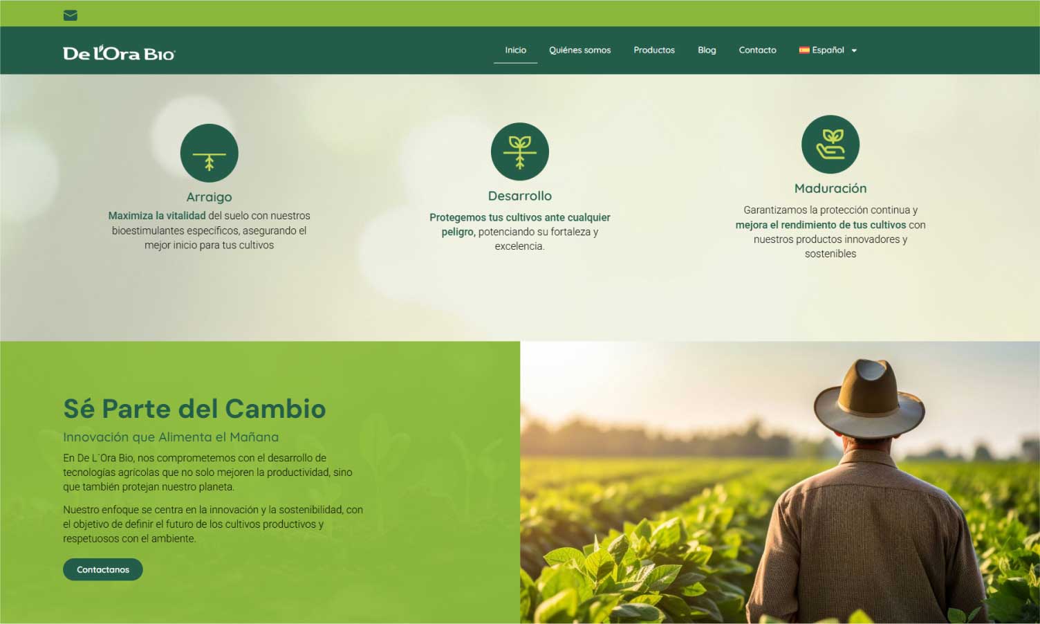 delora_bio_previo_nhgdesign