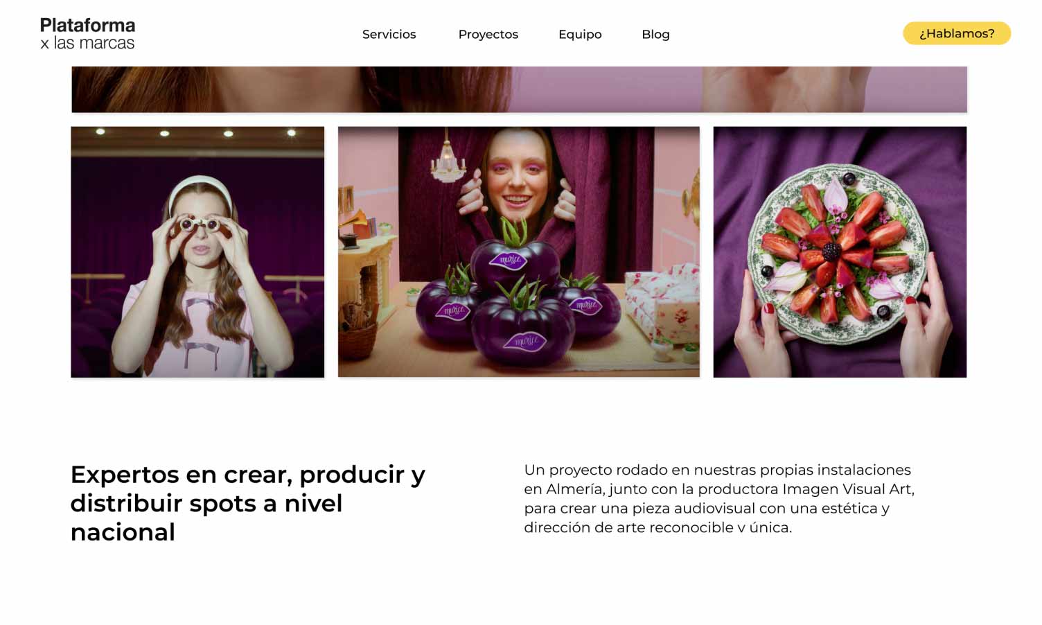 plataforma_previo_nhgdesign