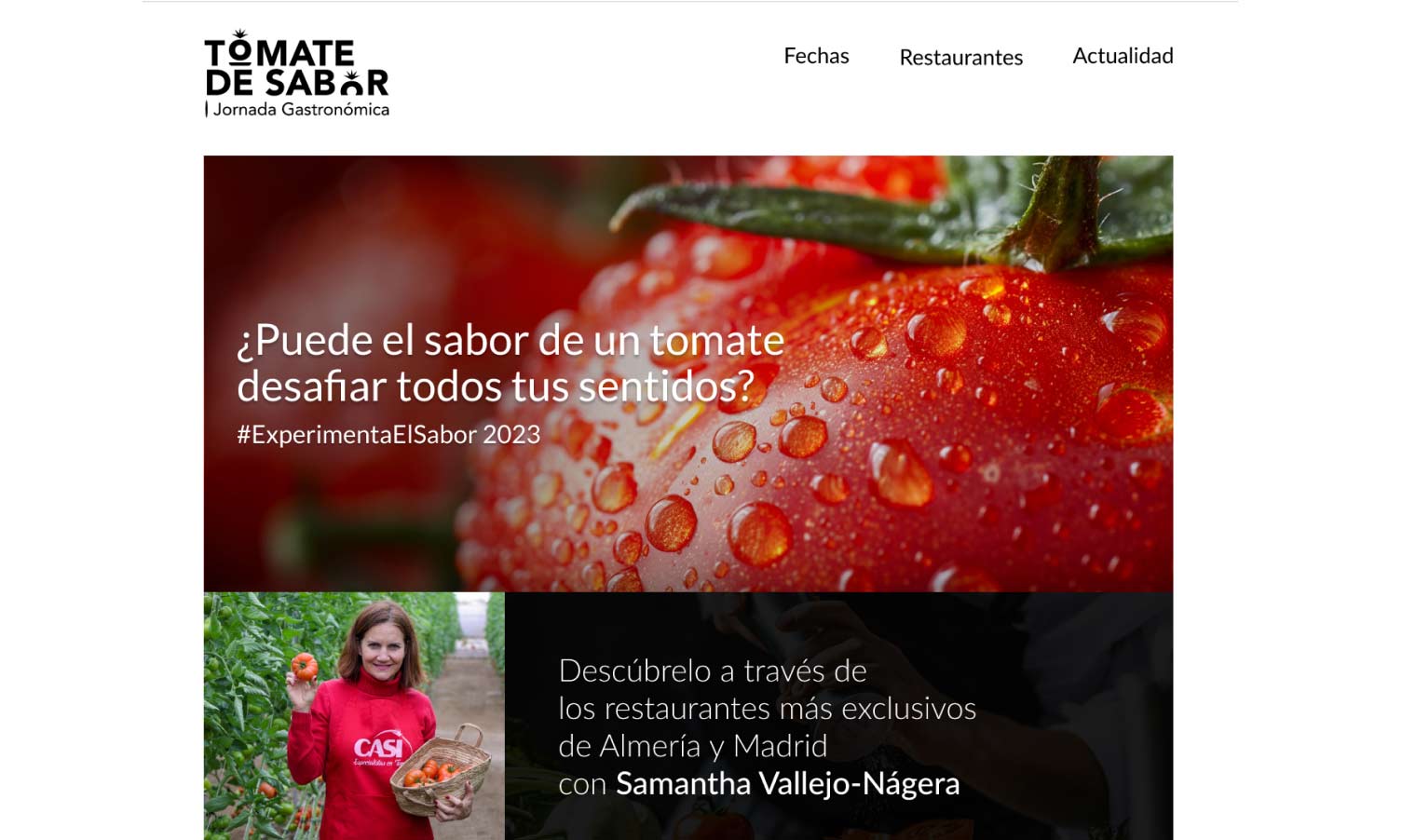 tomates_casi2_previo_nhgdesign-
