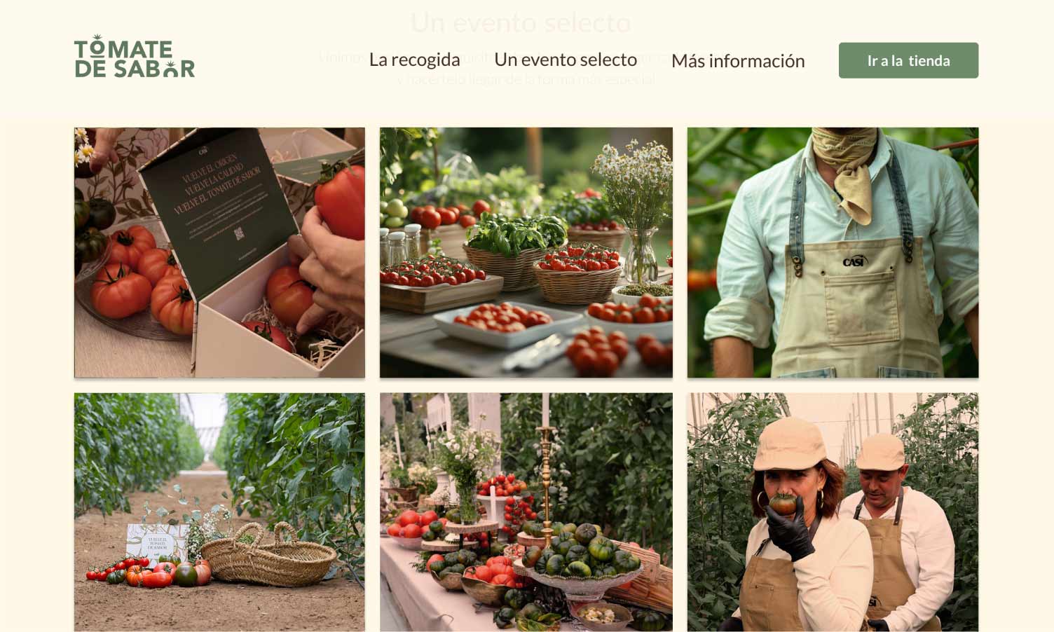 tomates_casi_previo_nhgdesign-