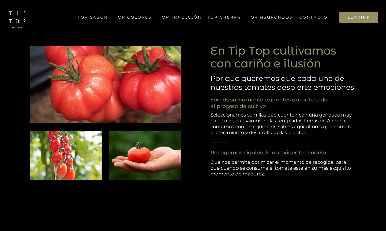 tomates_tip_top2_saborum_previo_nhgdesign-