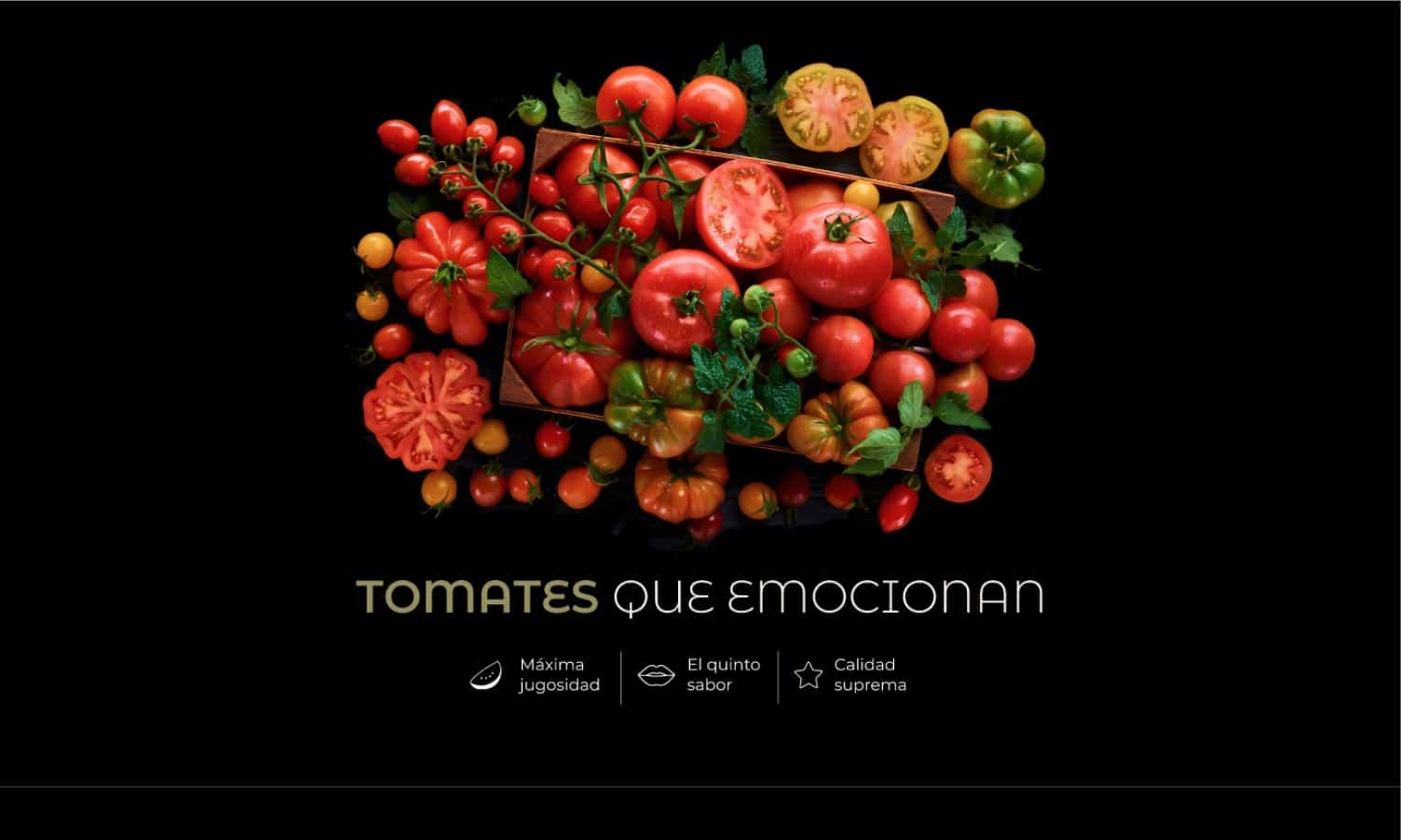 tomates_tip_top_saborum_previo_nhgdesign-